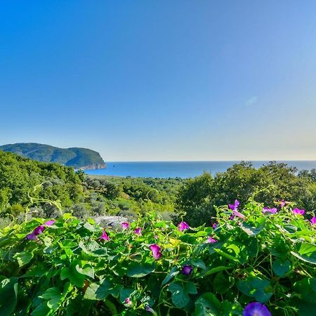 Pataki Studios Petrovac Exterior photo