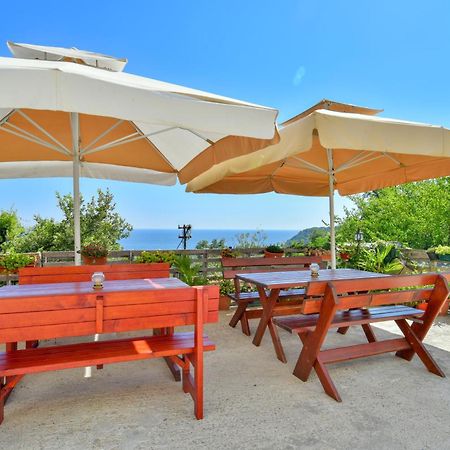 Pataki Studios Petrovac Exterior photo