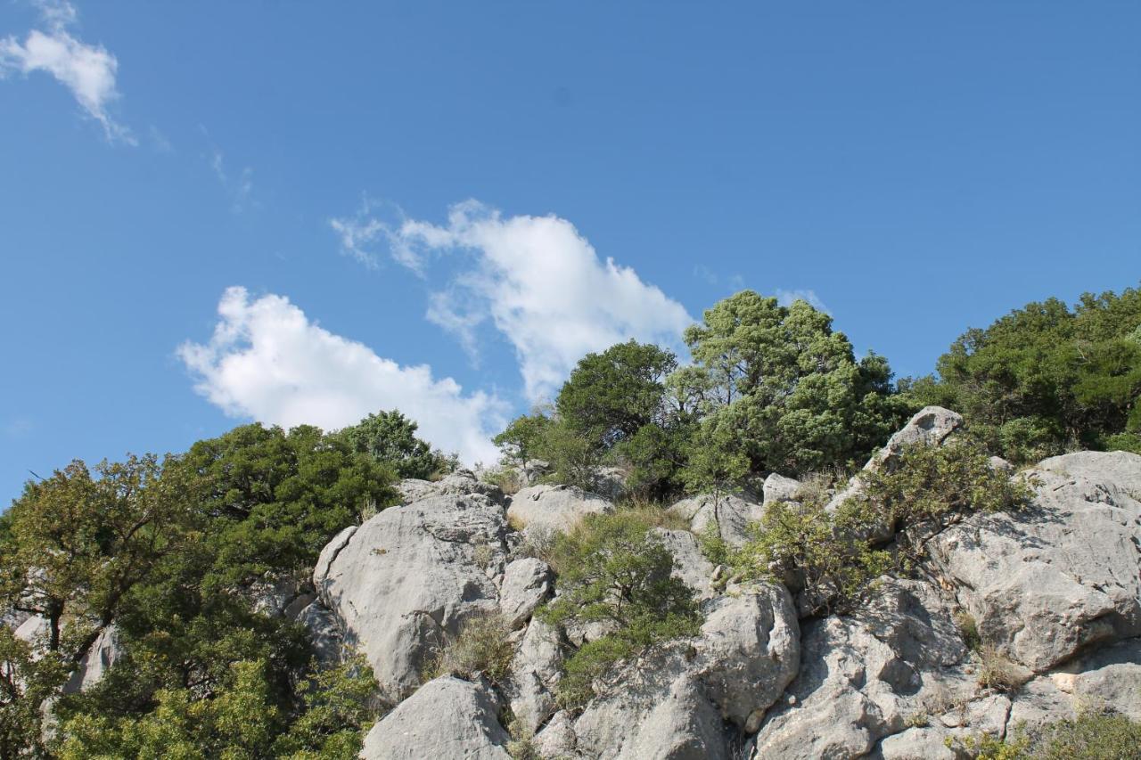Pataki Studios Petrovac Exterior photo