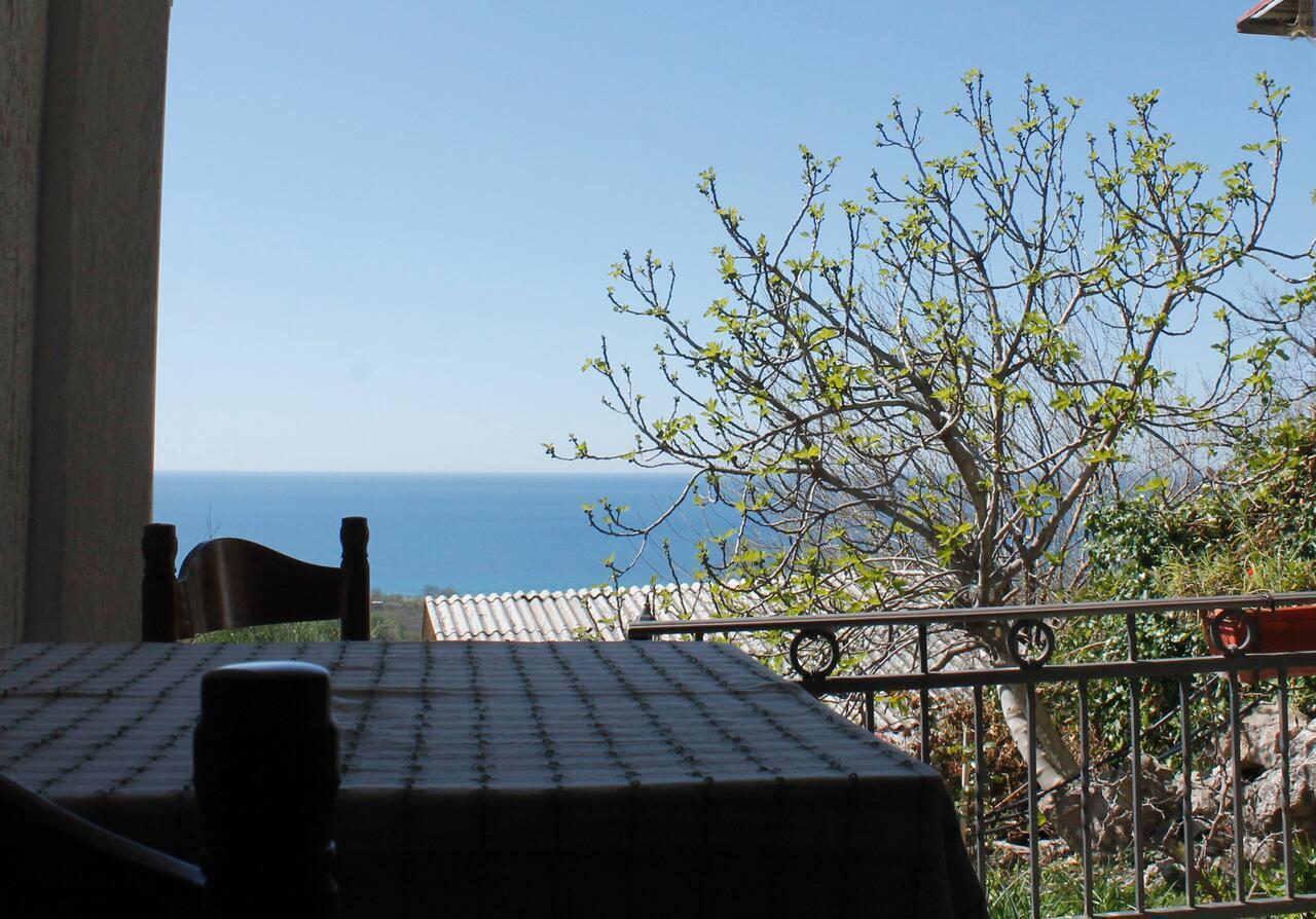 Pataki Studios Petrovac Exterior photo